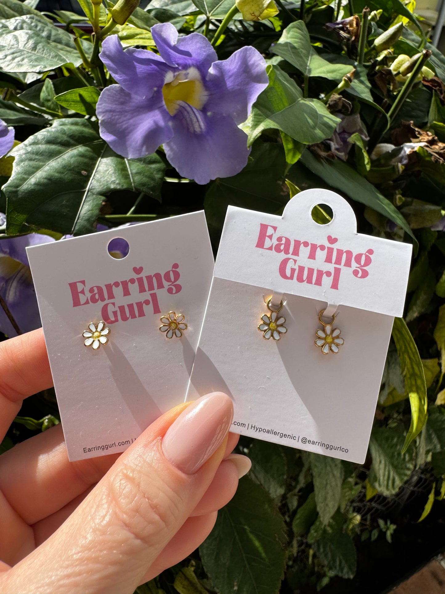 Daises Charm